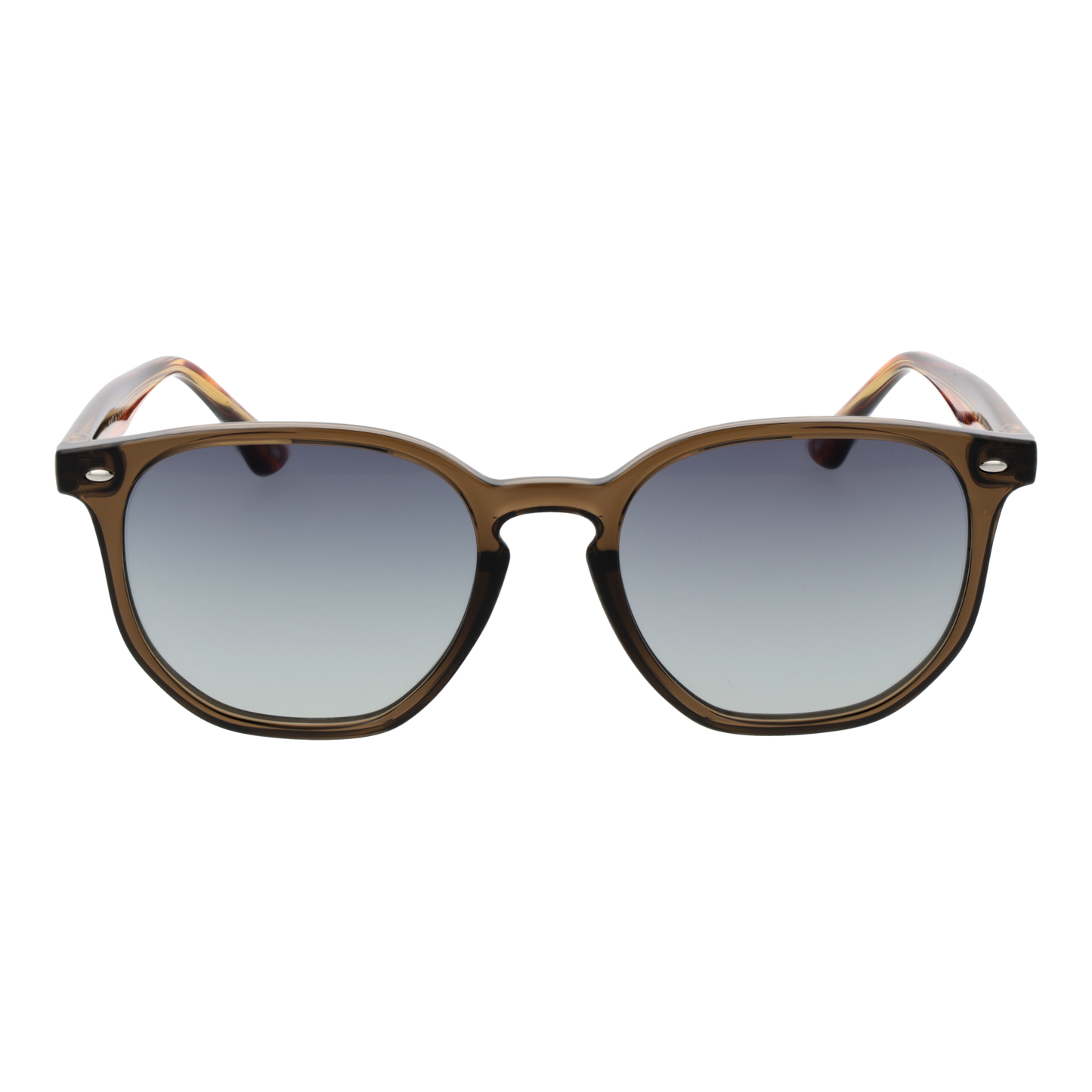 Ted Baker Apsauginiai akiniai nuo saulės TB1655 949 52