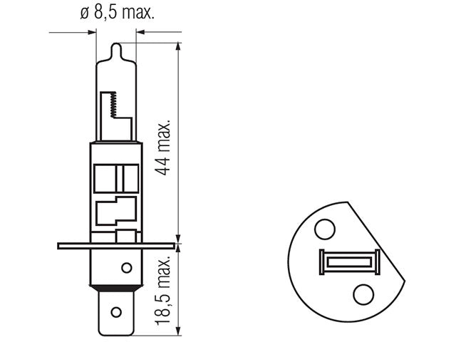 Bosma bulb H1, 55W Saphire
