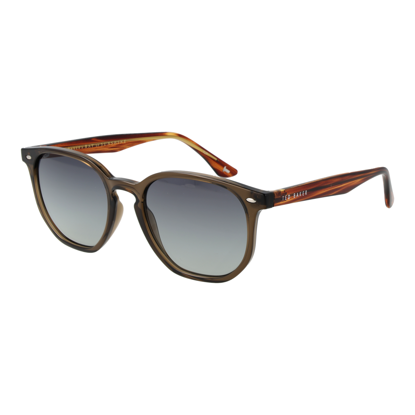 Ted Baker Apsauginiai akiniai nuo saulės TB1655 949 52